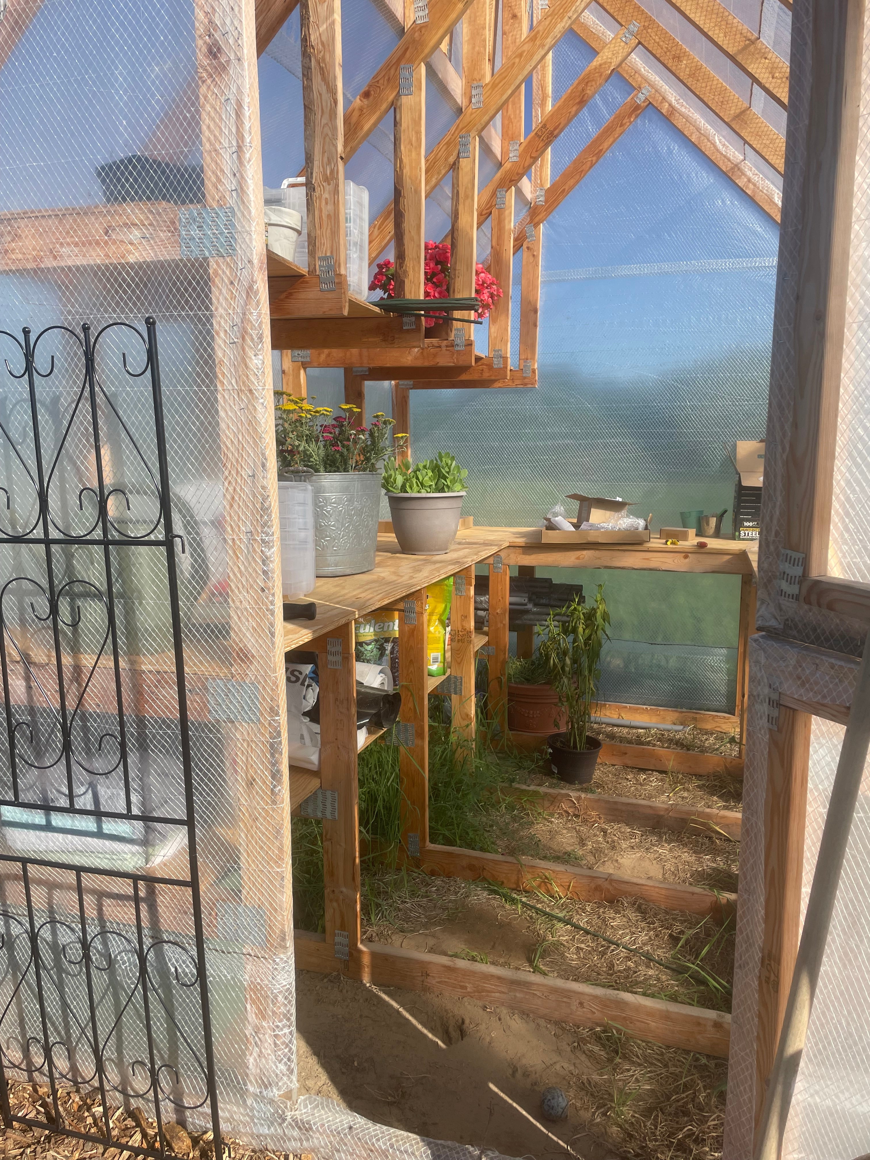 8x10 Skylight Backyard Greenhouse