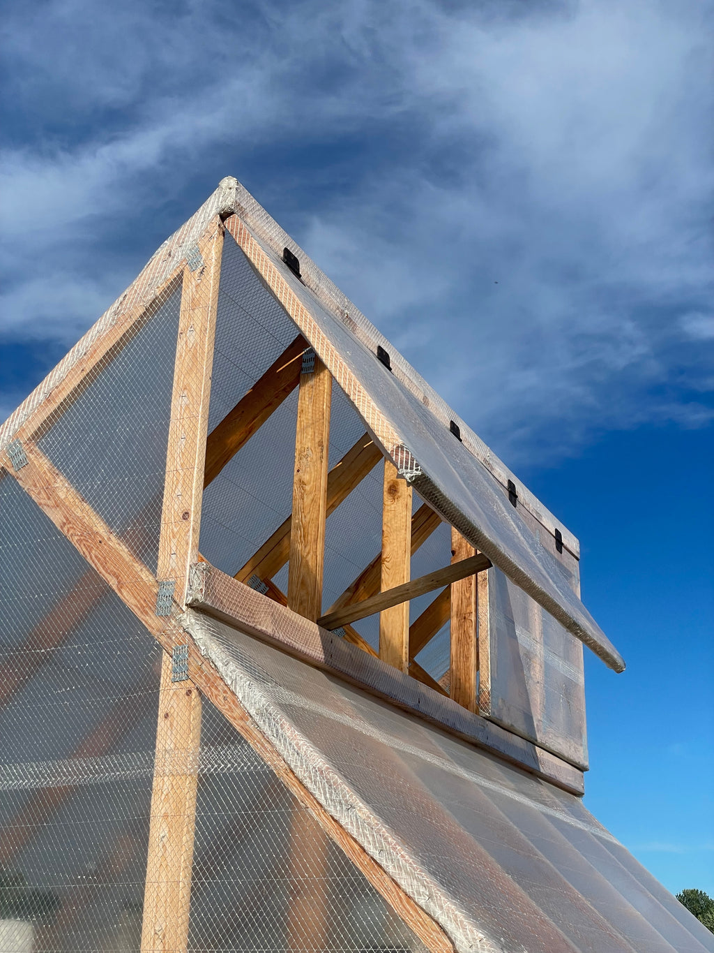 8x10 Skylight Backyard Greenhouse