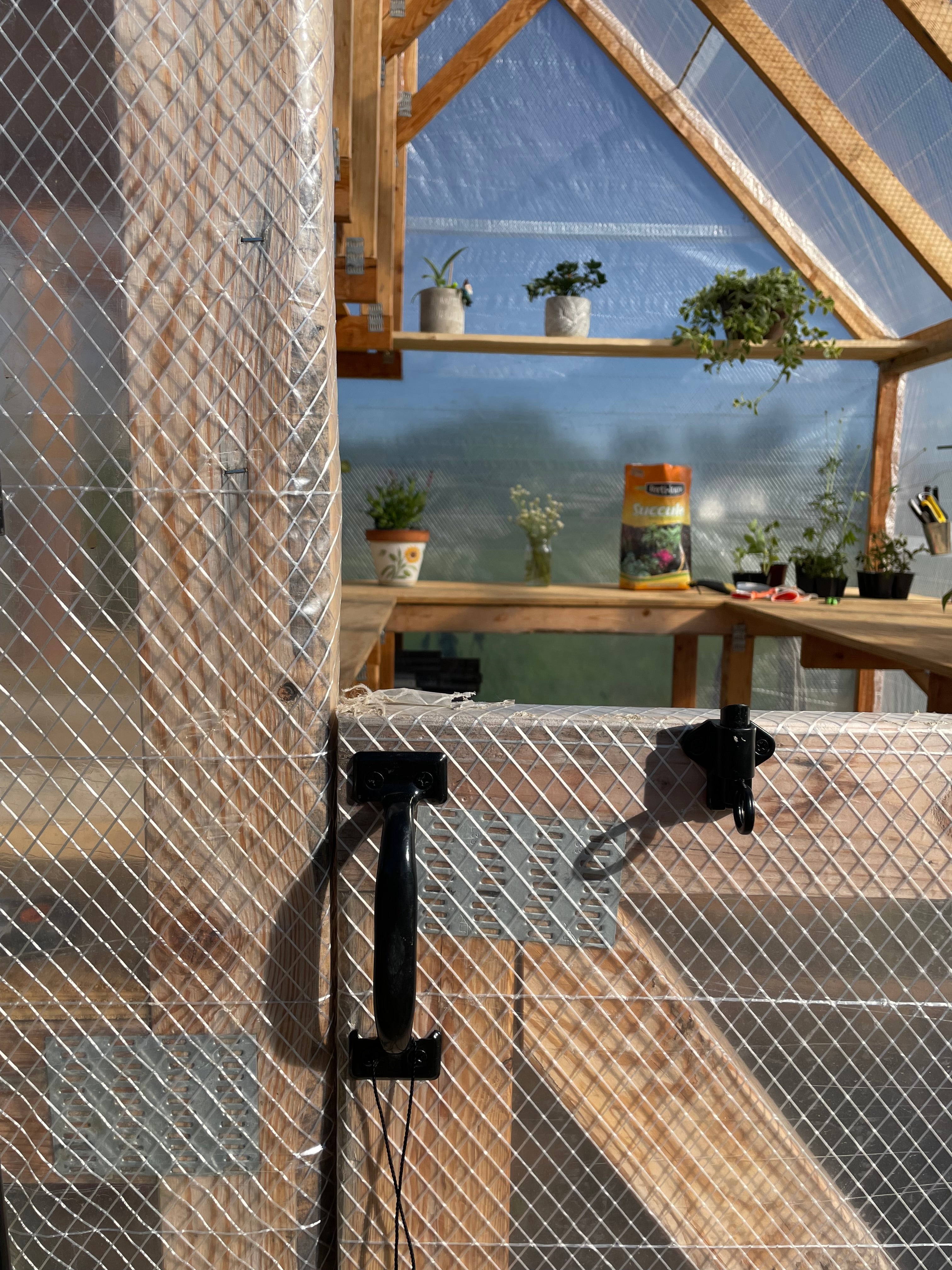 Wooden interior with glass walls and plants, showing a modern architectural design.
