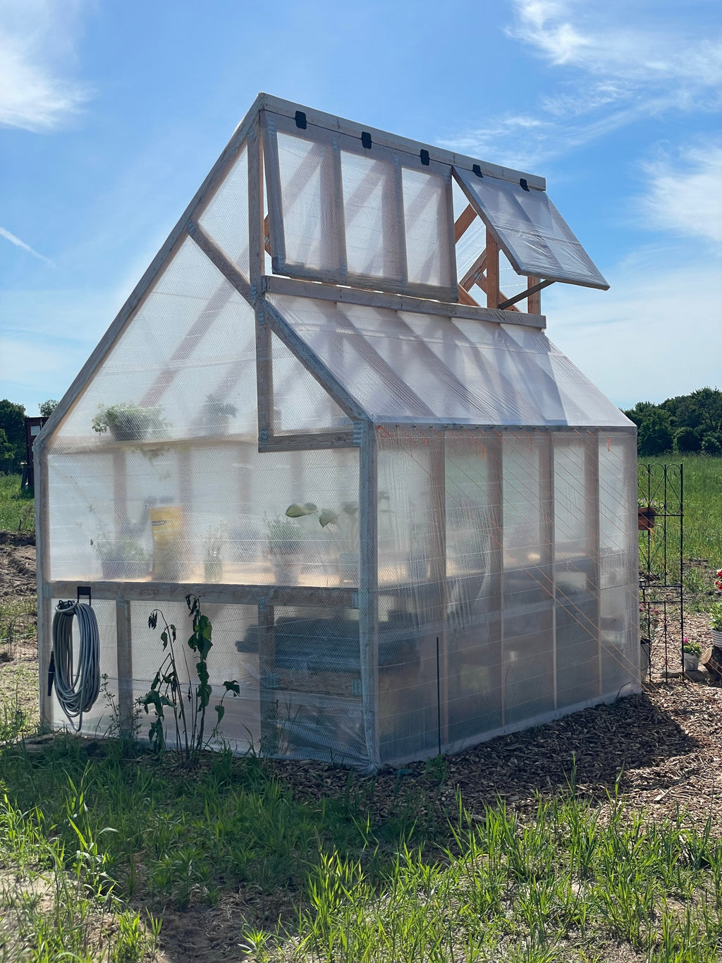 8x10 Skylight Backyard Greenhouse