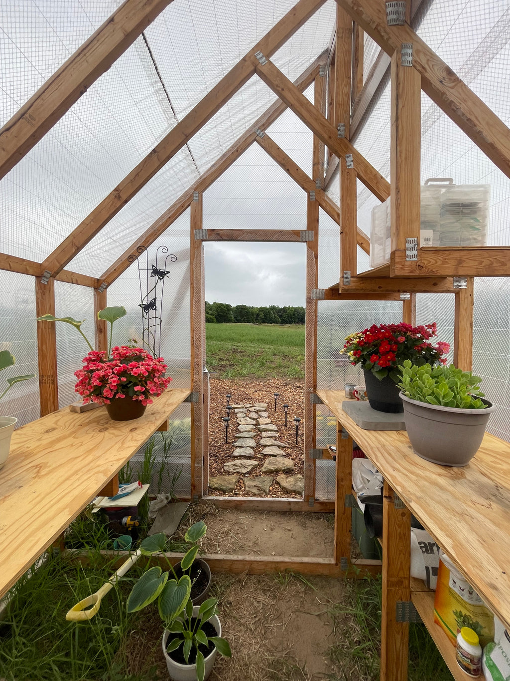 Greenhouse interior with wooden benches, potted plants, and a view of a field through the glass.