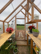 Greenhouse interior with wooden benches, potted plants, and a view of a field through the glass.